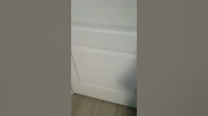 stuff