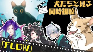 【同時視聴】猫ちゃんのアニメーション「FLOW」をみんなで見る！【犬井マル／画猫人識／森井創／護道栖緒】