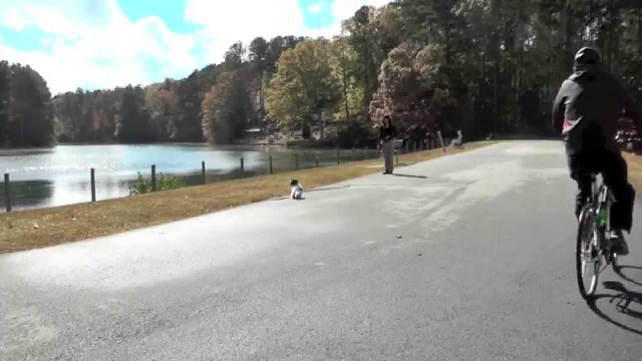 Puppy Training 11: Lilly Havanese, Off-Leash at the Parks puppy paradise