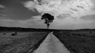 My Way (Frank Sinatra Cover)