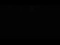 Connecticut Bird Feeder Live Stream