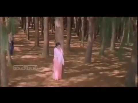 whatsapp-status-sumangali-kuruvi-love