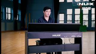 High Quality Digital Piano Nux Brand 88 Keys Upright Electronic Piano Keyboard Wk-310