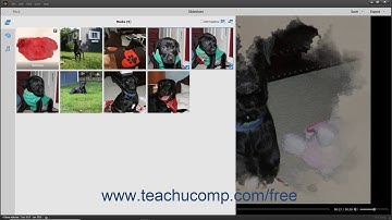 Photoshop Elements 2020 Tutorial Editing a Slide Show Adobe Training