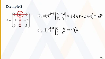 Comment calculer les cofacteurs d'une matrice ?