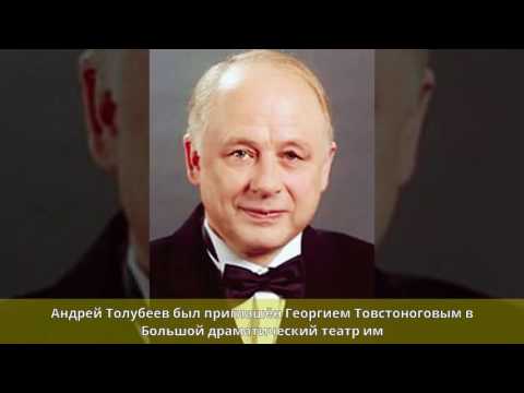 Толубеев, Андрей Юрьевич - Биография