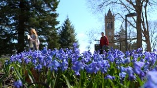 Postcard from Campus: Spring is in the Air screenshot 4