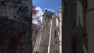 a day at the national cathedral🌸 #shorts #dc #washingtondc #spring #vlogger