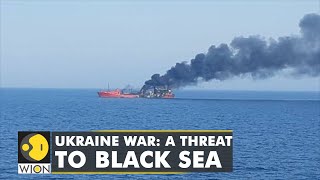 Ukraine-Russia war polluting Black and Azov Sea, marine life bears the brunt | WION Climate Tracker screenshot 4