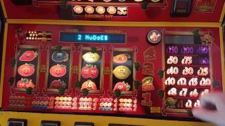 BFM Club Crazy Fruits screenshot 4