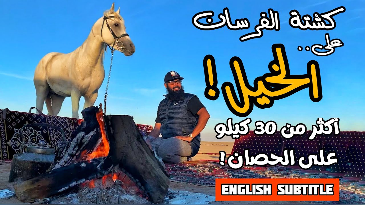 كشتة الفرسان على الخيل ! Horse Camping