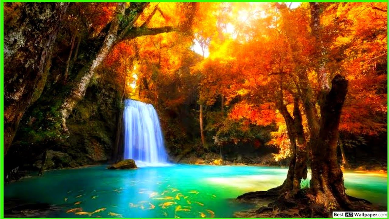 Amazing Beautiful Natural Scene - Natural Scene - The sound of water falling -Wearing fountain water