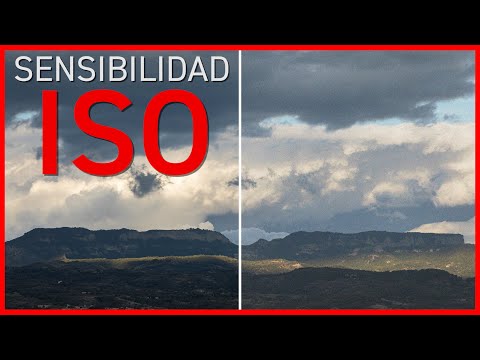▶FOTOGRAFÍA BÁSICA 📷SENSIBILIDAD