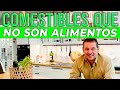 CUIDADO. No todo lo que es COMESTIBLE, es un ALIMENTO. ¿Qué diferencia hay?