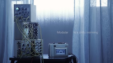 Qu-bit Chord + Warps + Mimeophon FX  Cassette Tape Ambient / Rings Disting