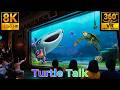 【360° VR】タートル・トーク / Turtle Talk - Tokyo DisneySea【4K 8K】