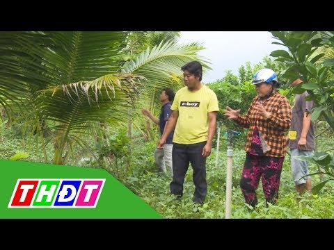 Video Mạnh dạn chuyển đổi cây trồng, nông dân làm giàu trên... - youtube