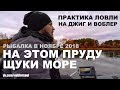 Щучий Жор. Рыбалка на небольшом Пруду. Ловля Спиннингом Осенью. Ноябрь 2018.