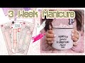 Dashing Diva | 3 Week Manicure