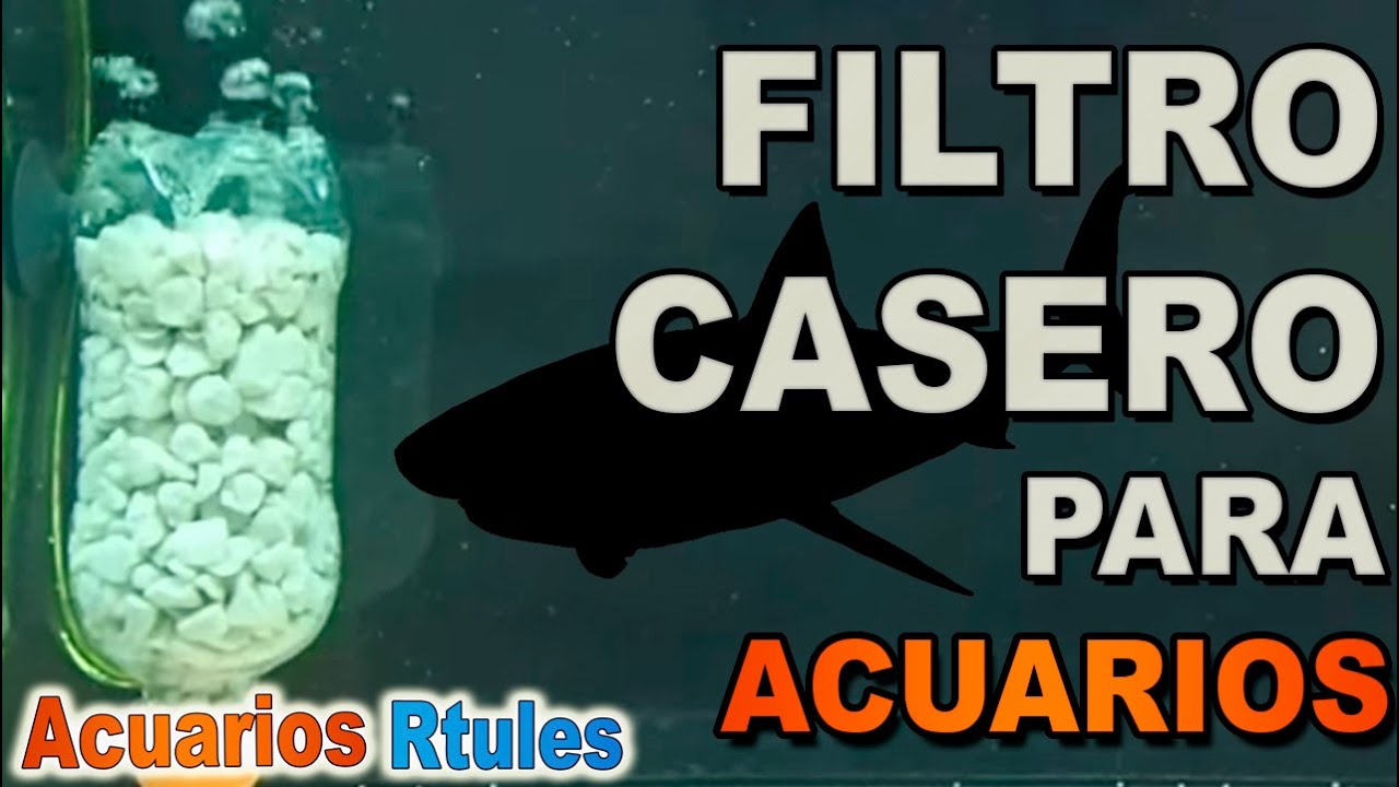 torpe Supone impactante Cómo hacer un FILTRO CASERO para ACUARIO | FUNCIONA |🐠🌱 - YouTube