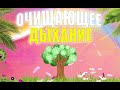 Утреннее очищающее дыхание | ЛФК упражнения