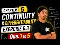 Class 12th Chapter 5 Continuity and differentiability exercise 5.3 Que. 1 to 5 by NS sir.