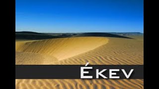 2025-08-16 Ekev Because - Life of Worship Torah Portion