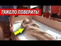 СРОЧНО! ЭТИ ФАКТЫ ПОРАЗИЛИ ВСЕХ! (2021) СКЕПТИКИ РВУТ НА СЕБЕ ВОЛОСЫ!