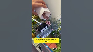 Khám Phá Bộ Lọc Thác Nước Siêu Đỉnh Cho Bể Cá Nhỏ! #methuysinh #aquarium #fish #fyp