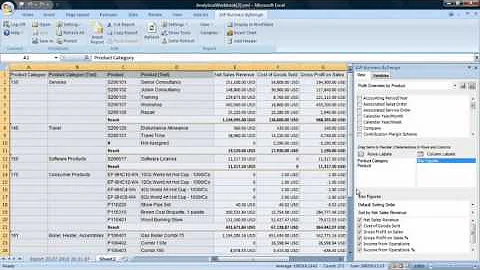 Using SAP Business ByDesign Analytics to Manage Financial Performance