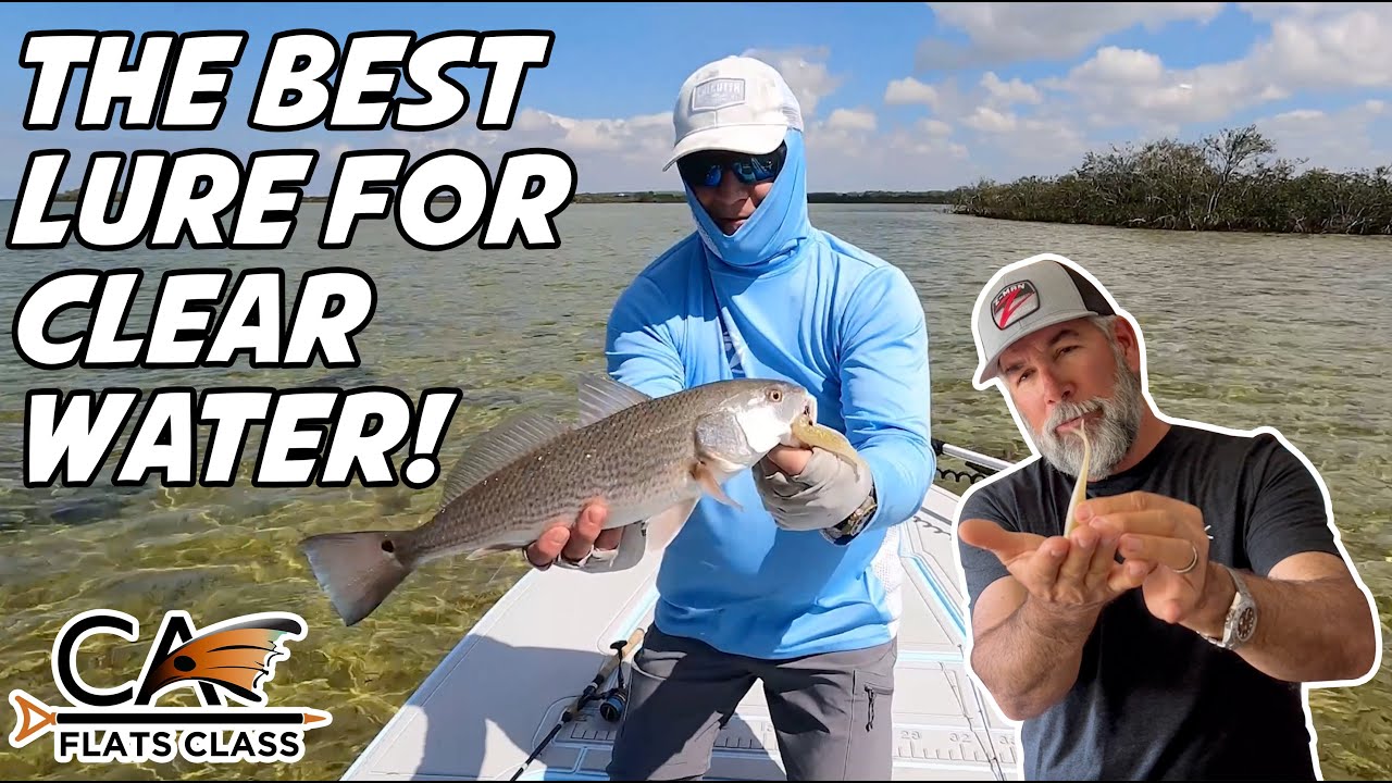 What Color Fishing Lure Is Best For Clear Water?