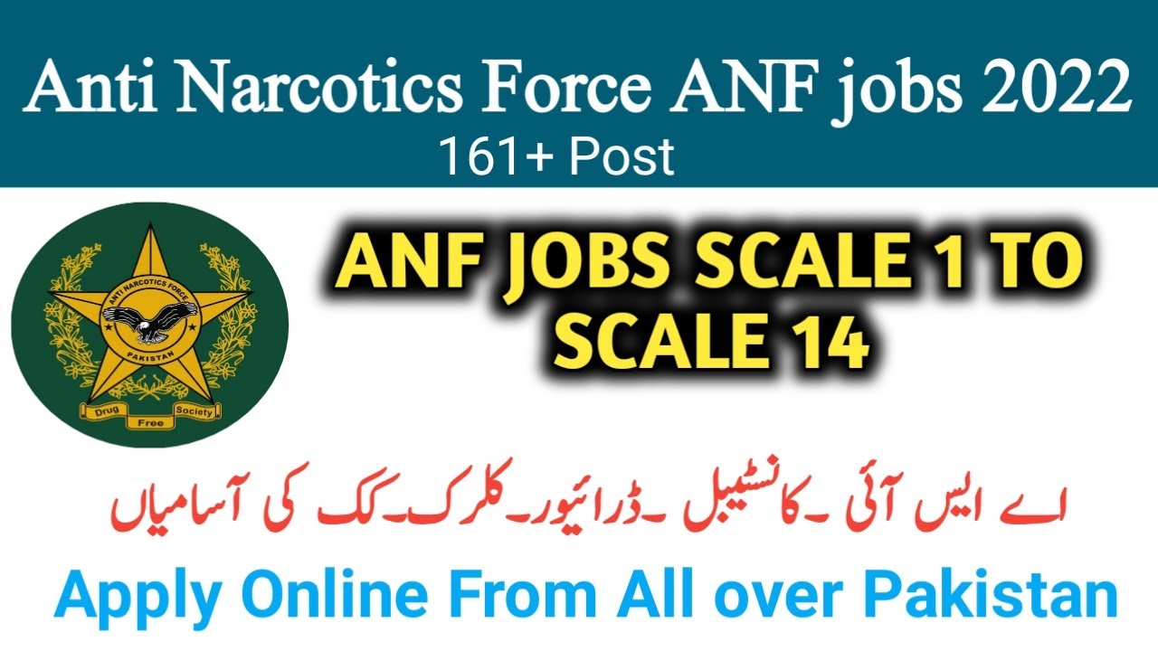 anf jobs 2022-anf jobs 2022 apply online-anf jobs-asf jobs 2022-asf new jobs 2022-anf jobs slaybus