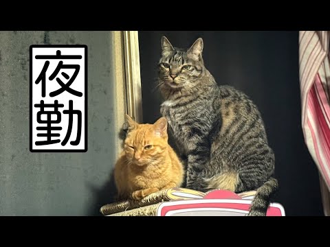 かくして安全な夜は守られた　Tiny Guardians of the Night