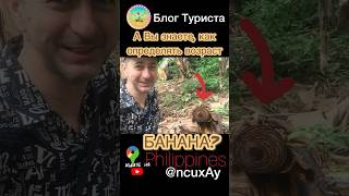 🍌Период полного созревания плодов банана, начиная с посадки, обычно занимает 10—12 месяцев. Он трава