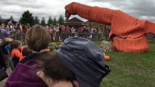 Gobert's Pumpkin Patch 2016 -pumpkin eating dinosaur