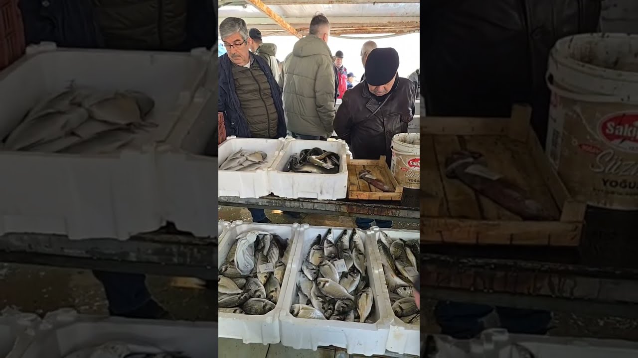 PUSULASIZ HAYAT kanalı canlı yayında. 6 Mart CUMA.