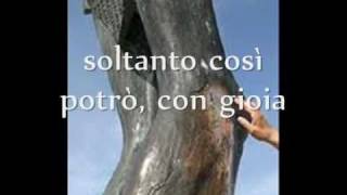 Video thumbnail of "Inno Medjugorje , Regina della pace"