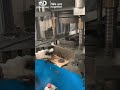⚙️Four-column Fast Fine Blanking Press⚙️ #hydraulicpress #machine #manufacturing