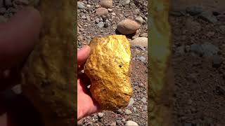 #Shorts Treasures from Gold Nuggets - Parte IX