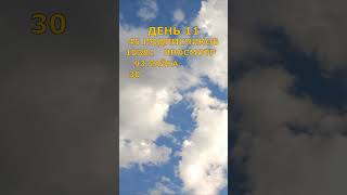 День 11 — 45 подписчиков, 10 381 просмотр