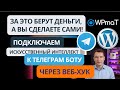 🔥 Обучающее видео с закрытого курса.  Подключаем Wordpress к Телеграм боту с ИИ через плагин WPMAT