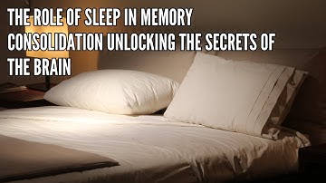 The Role of Sleep in Memory Consolidation Unlocking the Secrets of the Brain