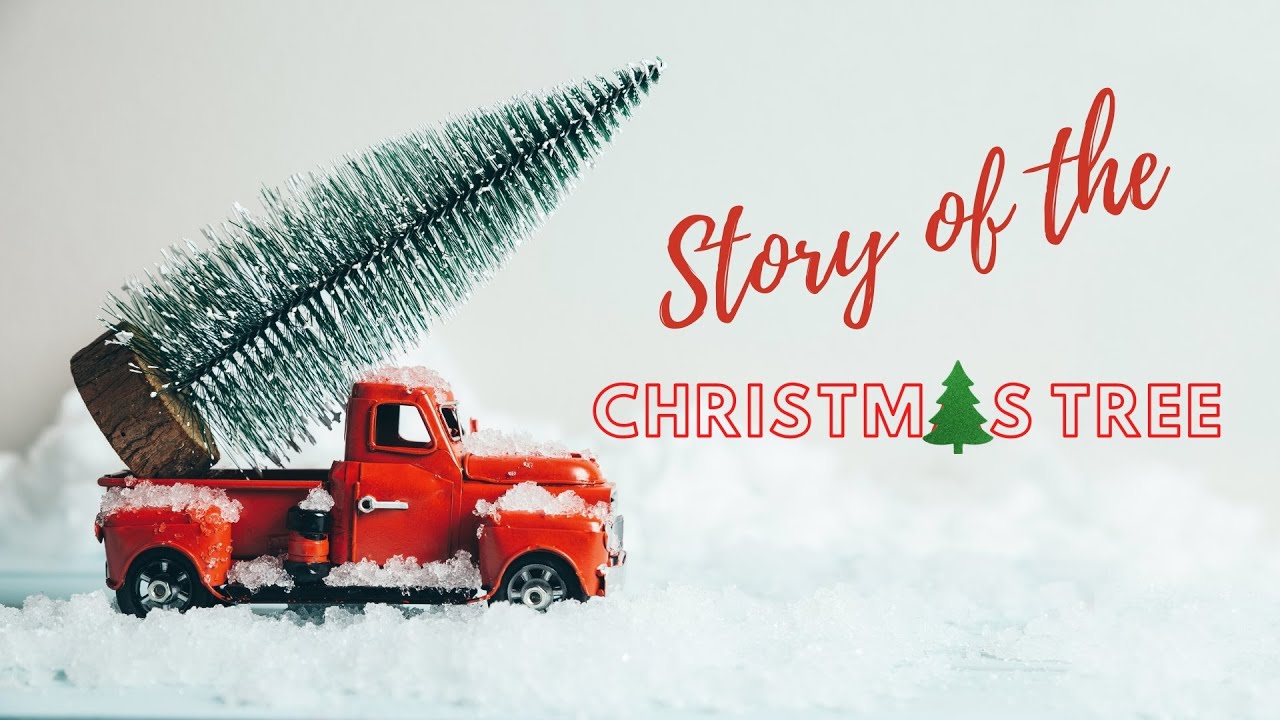 The Story of the Christmas Tree History of the Christmas Tree