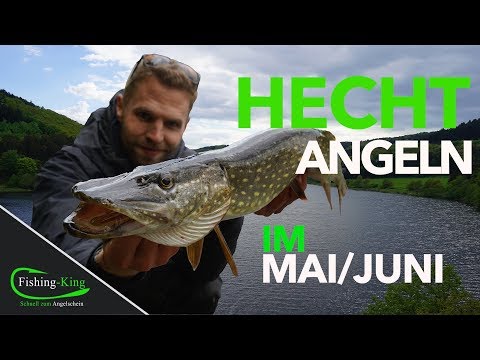 Video: Wie Man Im Mai Fischt - Angeln Im Mai