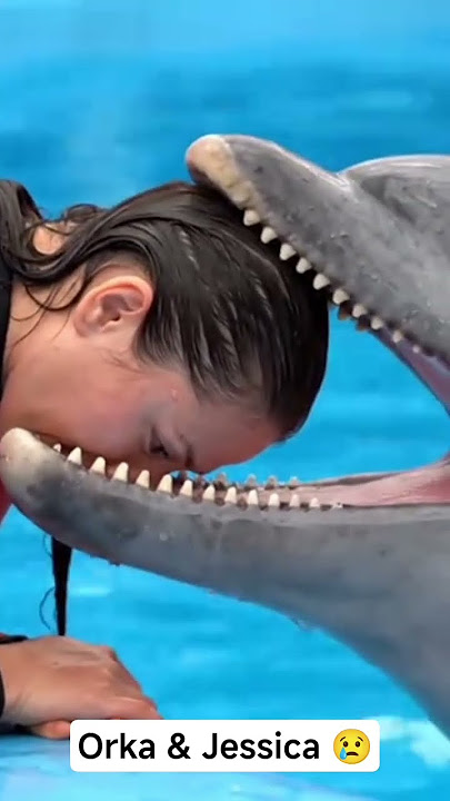 Jessica viral video on YouTube.          Orka viral video on YouTube..Sad moments 😔😢😠#jessica #orka