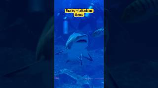 Sharks 🦈 attack on divers | Dubai mall aquarium | #subscribe #burjkhalifa #funny #shortvideo 