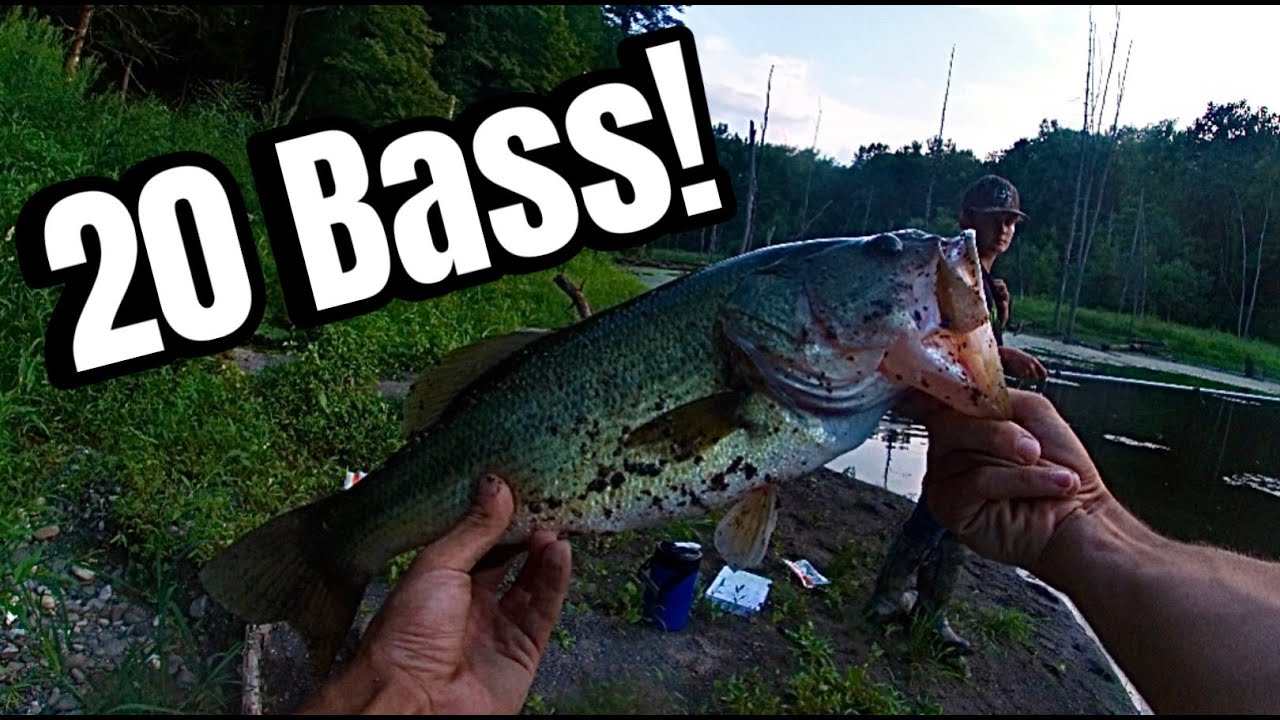 Catching Big Bass in a Loaded Pond!!