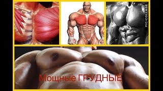 видео Нужны ли большие мышцы?  Атлетизм (№ 6)