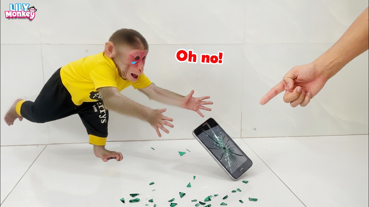 What happened? Lily broke dad phone! Dad was shocked when he saw it! | Lily's story