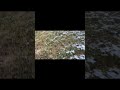 Snow in Calgary